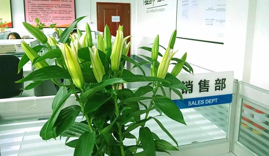濃情七夕，最美祝福！